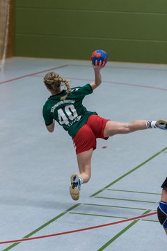 Bild 88 - Damen HSG Kremperheide/M�nsterdorf - Suchsdorfer SV : Ergebnis: 39:22